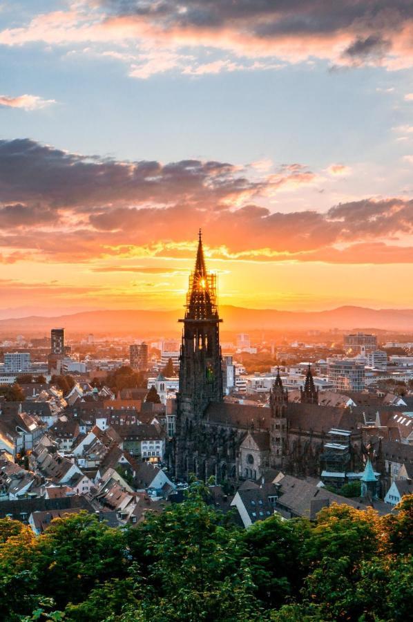 Luxus Penthouse Whiterussian Apartment Freiburg im Breisgau